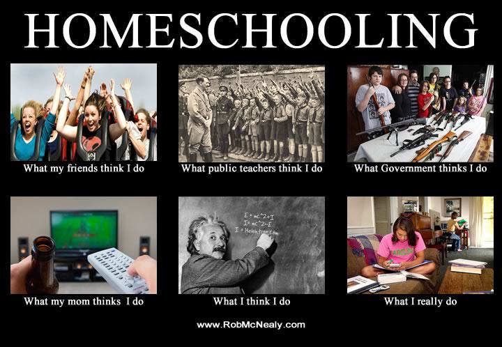 What Is Homeschooling To You